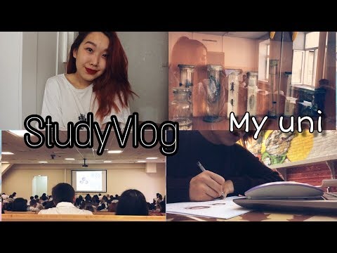 Видео: StudyVlog: будни в универе, учеба в кофейне и почему стоит пить воду