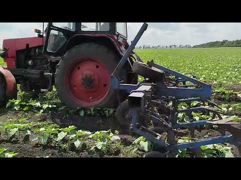 Видео: ЮМЗ 8280