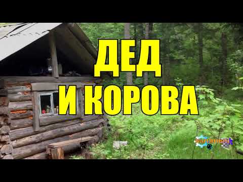 Видео: ДЕД ПРИКОЛИСТ | СТОРОЖ И БЫК  | ЛУЧШИЕ ДРУЗЬЯ