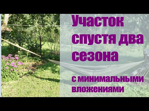 Видео: Дачный участок спустя два сезона. 6 соток с минимальным бюджетом