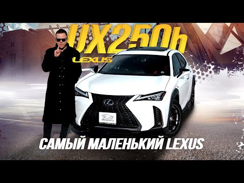 Видео: ОБЗОР LEXUS UX250H🔥МЕЧТА МИЛЛЕНИАЛА😎