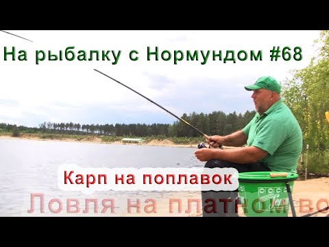 Видео: Карп на поплавок. На рыбалку с Нормундом #68