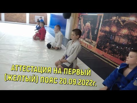 Видео: АТТЕСТАЦИЯ НА ПЕРВЫЙ (ЖЕЛТЫЙ) ПОЯС 20.09.2022г.