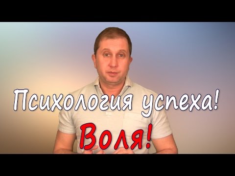 Видео: Правила успешного человека. Тема 1. Воля.