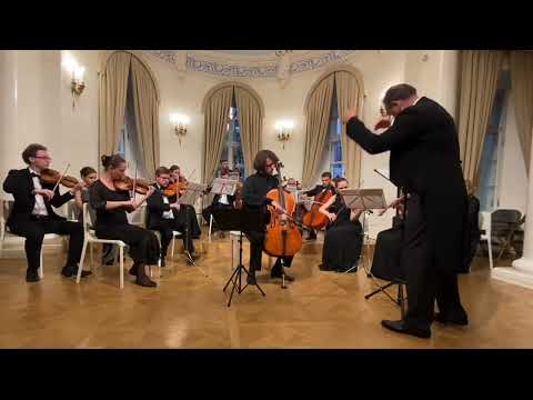 Видео: Шуман - Грёзы (переложение для виолончели с оркестром М. Уткина)