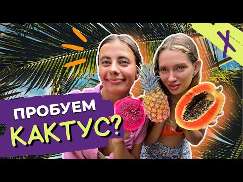 Видео: ПРОБУЕМ КАКТУС! САМЫЕ НЕОБЫЧНЫЕ И ЭКЗОТИЧЕСКИЕ ФРУКТЫ НА БАЛИ