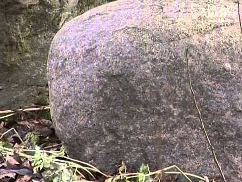 Видео: "Дорогой к людям": Нифантово и Прохорово