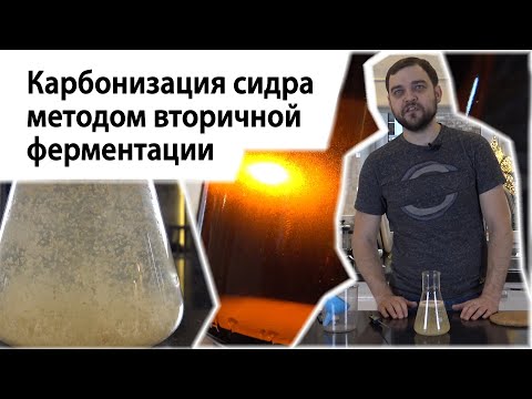 Видео: Карбонизация сидра методом вторичной ферментации