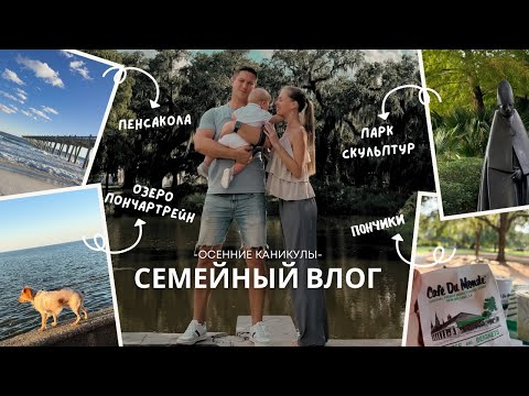 Видео: Осенние каникулы в Новом Орлеане и Флориде 🌴 | Пенсакола, парк скульптур и пончики в Café Du Monde ☕