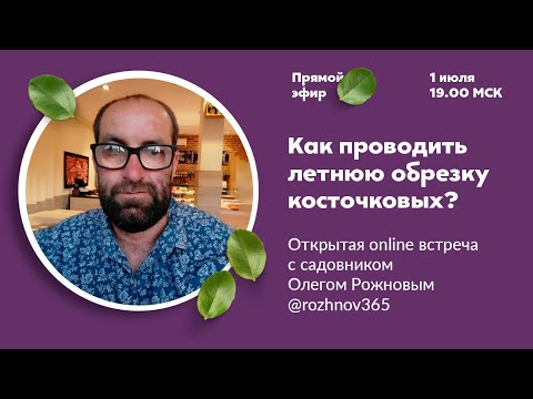 Видео: Как проводить летнюю обрезку? | Запись встречи с Олегом Рожновым