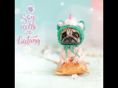 Видео: Мопс на подушке!