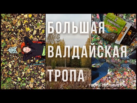 Видео: Большая Валдайская Тропа | 59 км за 3 дня + ТЕСТЫ СУБЛИМАТОВ