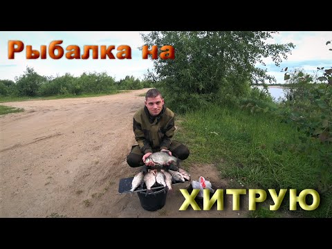 Видео: Отличная рыбалка на леща!!! Хитрая удочка ловит!!! #Лещ#Вычегда#дедовскаяснасть#хитраяудочка #донка