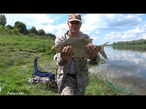 Видео: Это САЛО точно по ЛЕЩУ! Рыбалка на донки, ловля леща! Рыбалка на Оке!