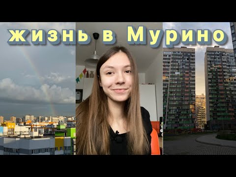 Видео: Так ли всё плохо с Мурино? Рассказываю после 3 лет жизни здесь