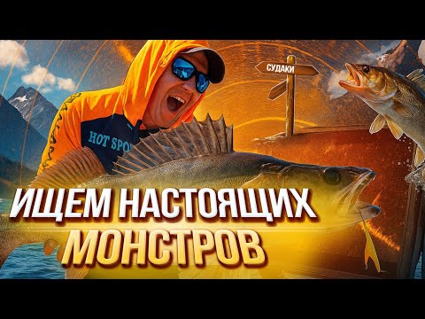 Видео: Рыбалка на трофейного судака - ищем настоящих монстров!