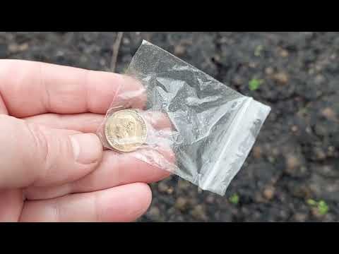 Видео: Deus2  прога "Море1" и "ходовая"!