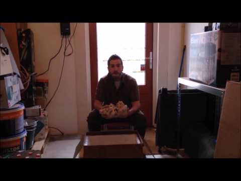 Видео: МОРСКОЙ НАНО АКВАРИУМ: ЗАПУСК. ЧАСТЬ2: КАМНИ