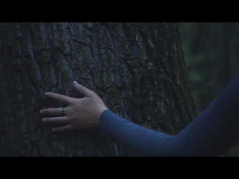 Видео: Спящая красавица