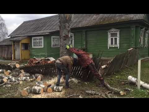 Видео: Решили спилить подгнившую березу рядом с домом, вызвали бригаду пильщиков