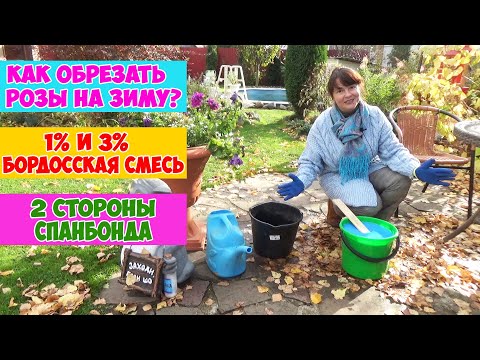 Видео: ОБРЕЗКА, ОБРАБОТКА и УКРЫТИЕ РОЗ НА ЗИМУ. Как обрезать розы на зиму? Чем обработать? Как укрывать?