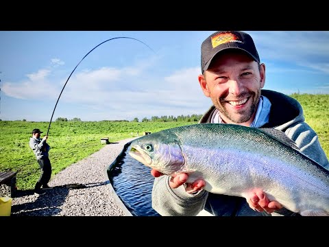 Видео: ЗДОРОВЕННАЯ ФОРЕЛЬ НА МАХОВОУ УДОЧКУ! Фидерное турне, серия 3. Ульяновск
