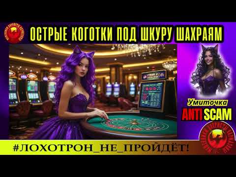 Видео: Умиточка🔥✅ОСТРЫЕ КОГОТКИ МОШЕННИКАМ ПОД ШКУРУ🔴СКАМ, ТРОЛЛИНГ, ЮМОР