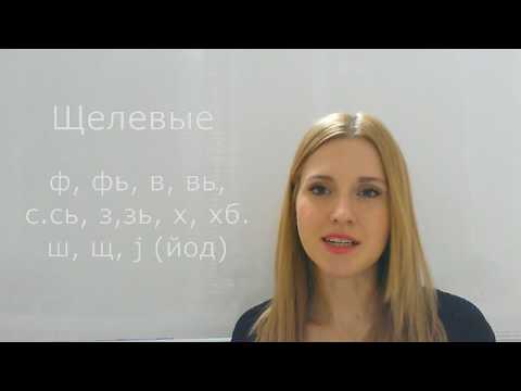 Видео: Артикуляция согласных звуков (пятая мини-лекция по логопедии)