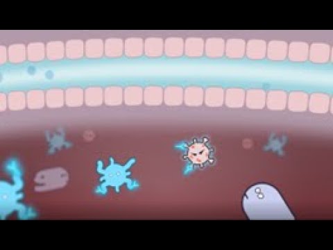 Видео: Модуль 1: Иммунная система