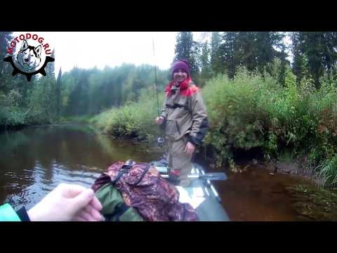 Видео: Сплав 09.18 | Архангельск | Рыбалка на хариуса