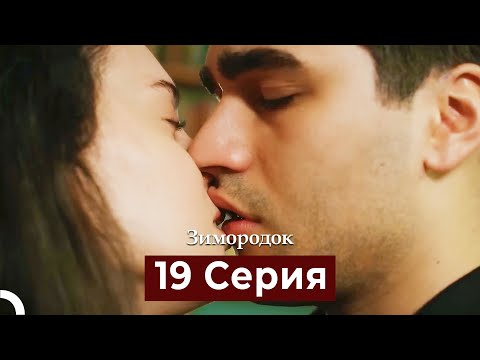 Видео: Зимородок 19 Cерия (Русский дубляж)