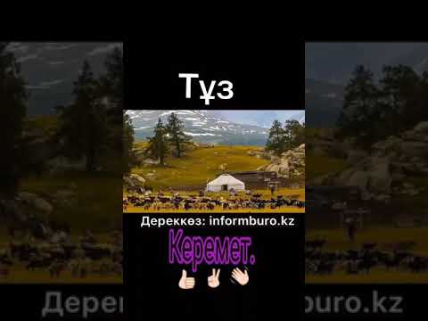 Видео: Тұздың кереметі!