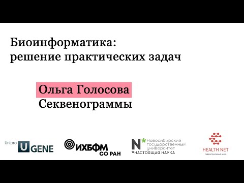 Видео: B1P6 - анализ секвенограммы
