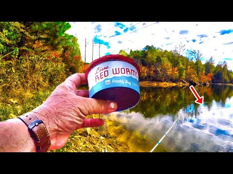 Видео: Секретные места на берегу для БОЛЬШОГО окуня!!!