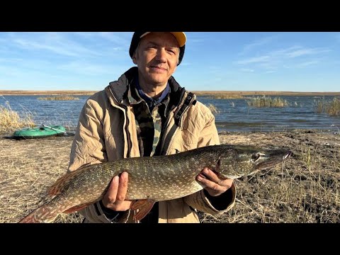 Видео: Степное озеро. Мы были нацелены на хищника. Рыбалка в Казахстане, Актюбинская область