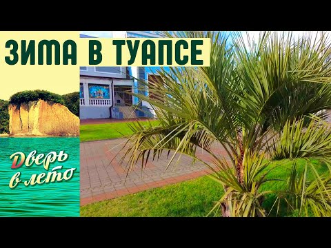 Видео: Зимняя погода в Туапсе и на Черноморском побережье