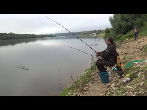 Видео: Рыбалка-когда весь берег в донках КРОКОДИЛ! Ловля рыбы на Оке!