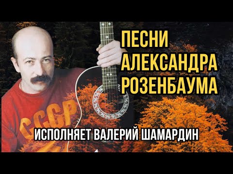 Видео: Песни Александра Розенбаума (Исп. В.Шамардин) Гитара Maton Valery Shamardin Custom