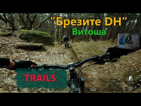 Видео: (TRAILS) Брезите DH / ВИТОША