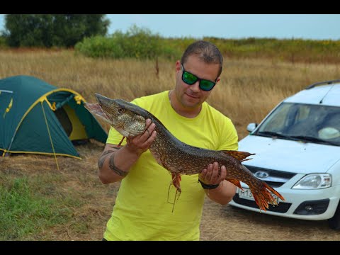 Видео: Рыбалка на реке Ока. Белоомут. Ловля щуки.