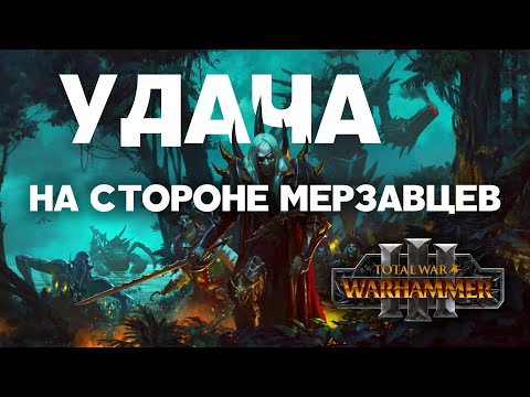 Видео: Берег Вампиров. Фракции Total War Warhammer 3