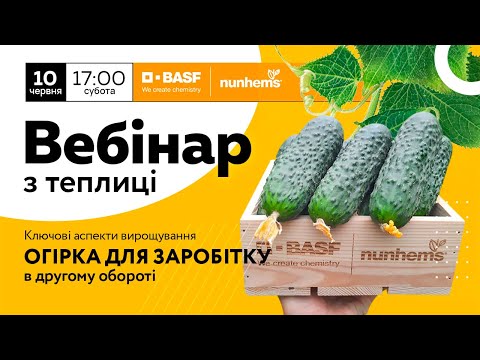 Видео: ПРЯМИЙ ЕФІР: Ключові аспекти вирощування огірка для заробітку в другому обороті