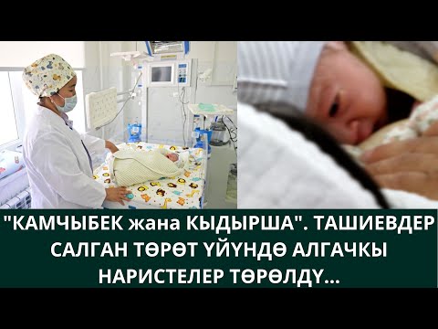 Видео: "КАМЧЫБЕК жана КЫДЫРША" ТАШИЕВДЕР САЛГАН ТӨРӨТ ҮЙҮНДӨ АЛГАЧКЫ НАРИСТЕЛЕР ТӨРӨЛДҮ...