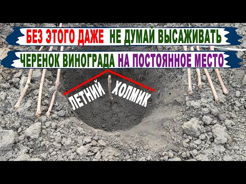 Видео: 🍇 Как ПРАВИЛЬНО без ДЕТСКИХ ОШИБОК посадить ВЕСНОЙ черенок винограда БЕЗ КОРНЕЙ на постоянное место.