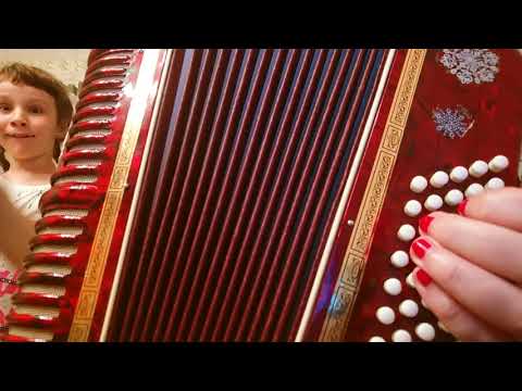 Видео: Старый клен-на аккордеоне!Разбор