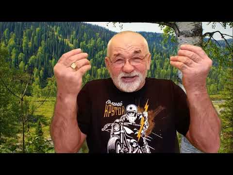 Видео: Отвечаю на ваши вопросы Охотничьи собаки