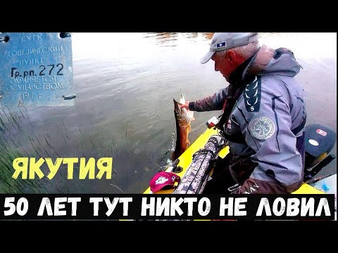 Видео: 54 ГОДА ТУТ НЕ ЛОВИЛИ ОНИ ЖРУТ ДРУГ ДРУГА ЭТО ШОК РЫБАЛКА.