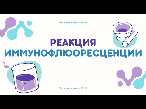 Видео: Реакция иммунофлюоресценции | Омский ГАУ