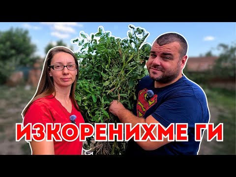 Видео: Провалихме се | ЖИВОТ НА СЕЛО