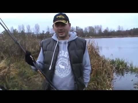 Видео: Тестирование карпового удилища Sportex FBC Carp 13" 3.5lb